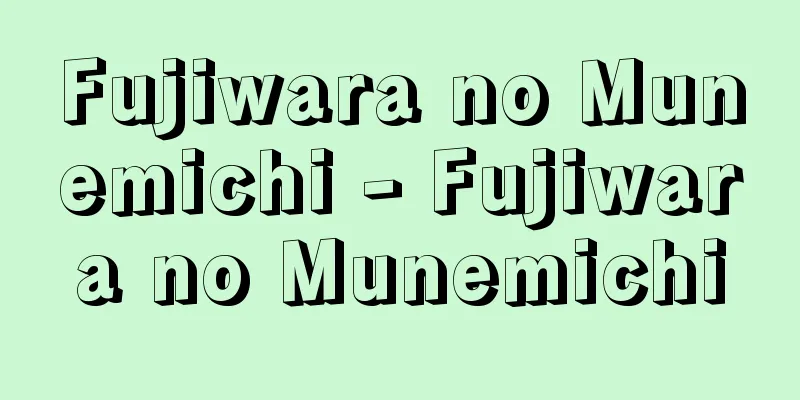 Fujiwara no Munemichi - Fujiwara no Munemichi