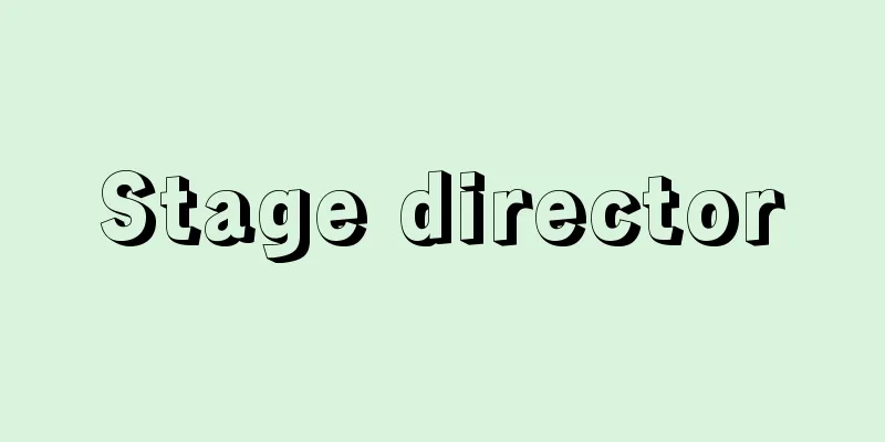 Stage director