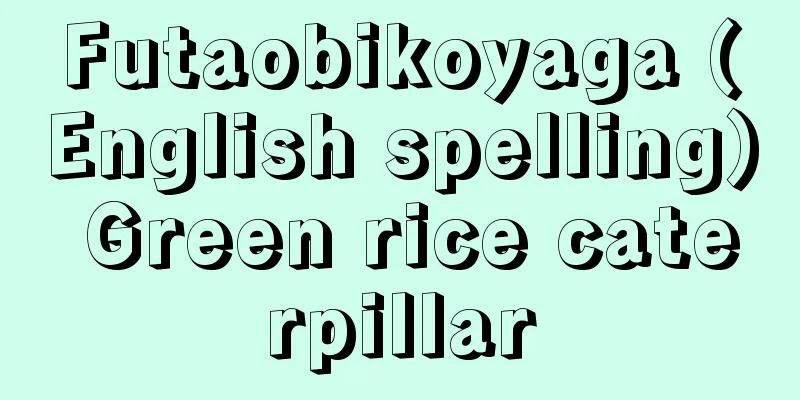 Futaobikoyaga (English spelling) Green rice caterpillar