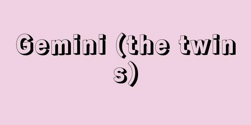 Gemini (the twins)