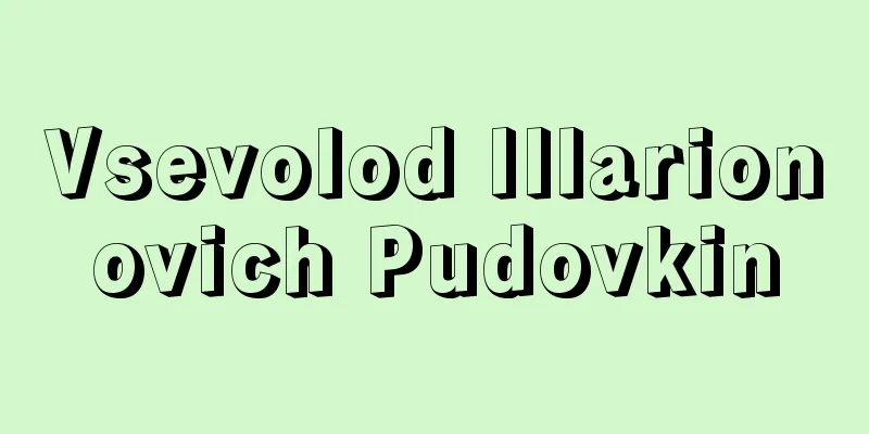 Vsevolod Illarionovich Pudovkin