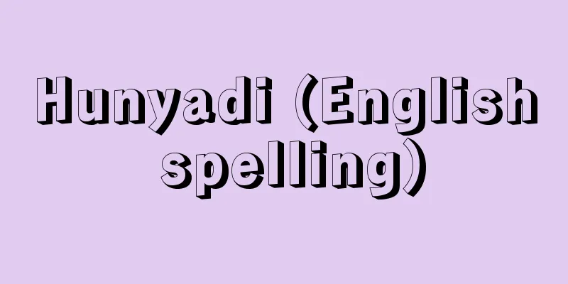 Hunyadi (English spelling)