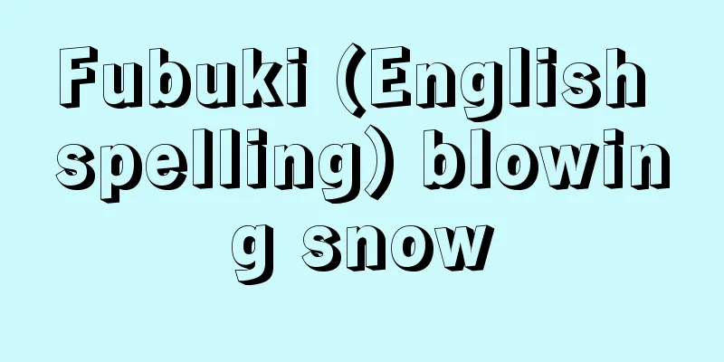 Fubuki (English spelling) blowing snow