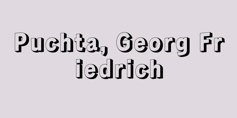 Puchta, Georg Friedrich