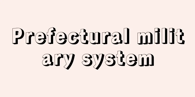 Prefectural military system