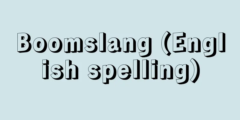 Boomslang (English spelling)