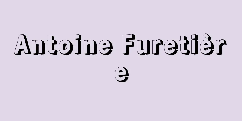 Antoine Furetière