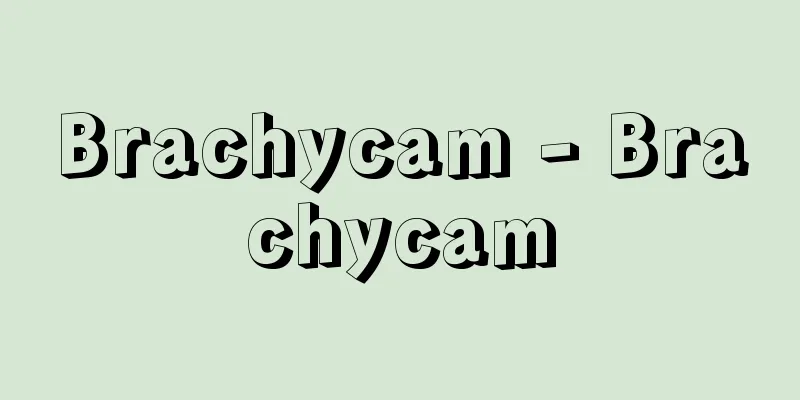 Brachycam - Brachycam