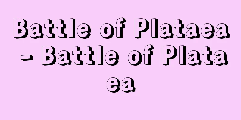 Battle of Plataea - Battle of Plataea