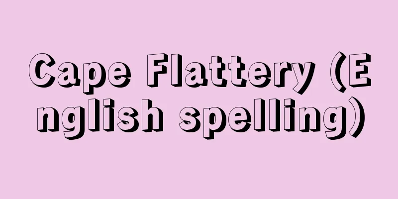 Cape Flattery (English spelling)