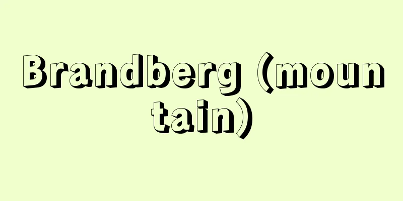 Brandberg (mountain)