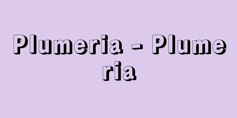 Plumeria - Plumeria