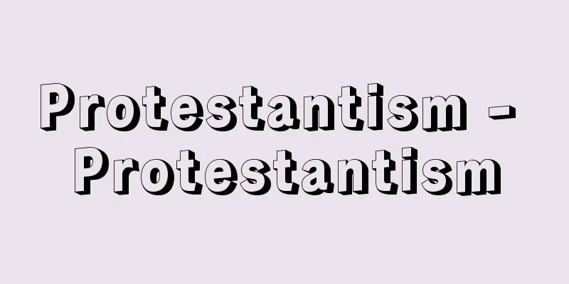 Protestantism - Protestantism