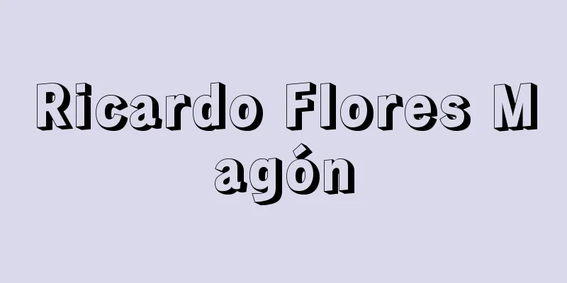Ricardo Flores Magón