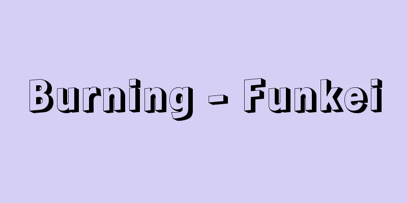 Burning - Funkei