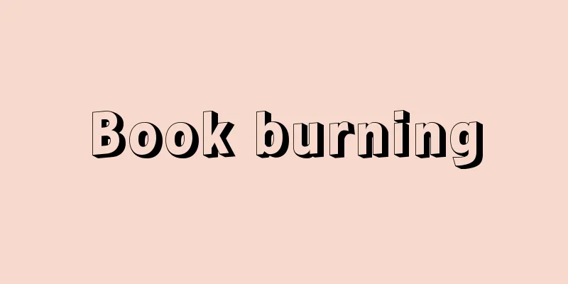Book burning