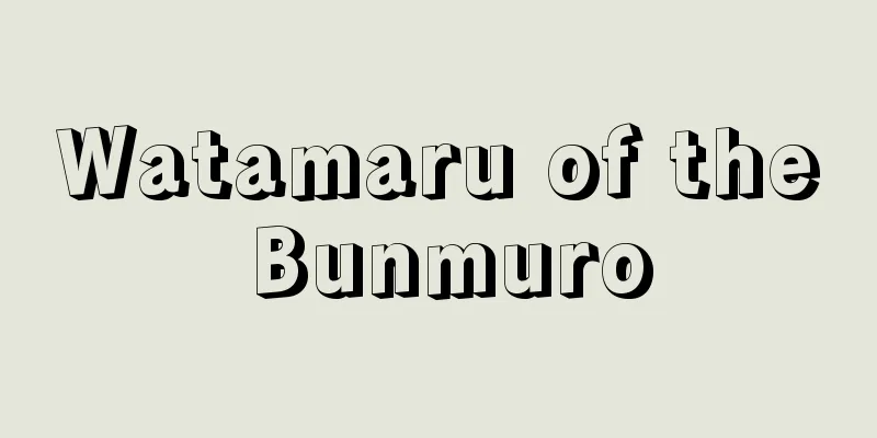 Watamaru of the Bunmuro