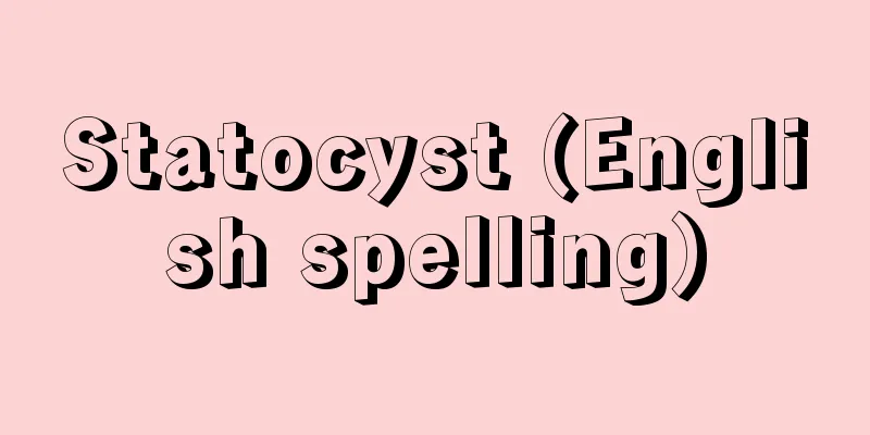 Statocyst (English spelling)