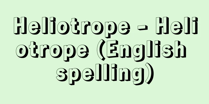 Heliotrope - Heliotrope (English spelling)
