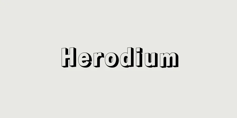 Herodium