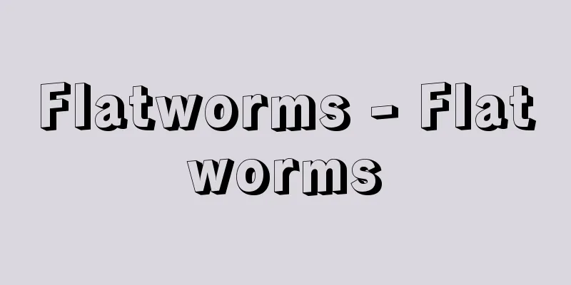 Flatworms - Flatworms