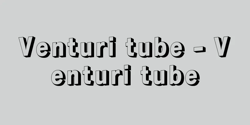 Venturi tube - Venturi tube
