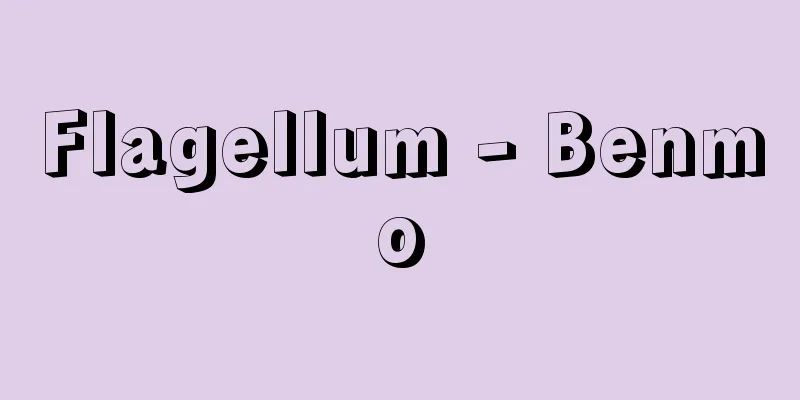 Flagellum - Benmo