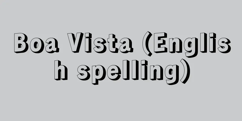 Boa Vista (English spelling)