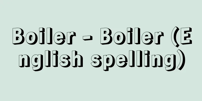 Boiler - Boiler (English spelling)