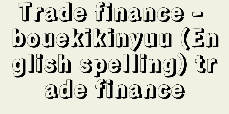 Trade finance - bouekikinyuu (English spelling) trade finance