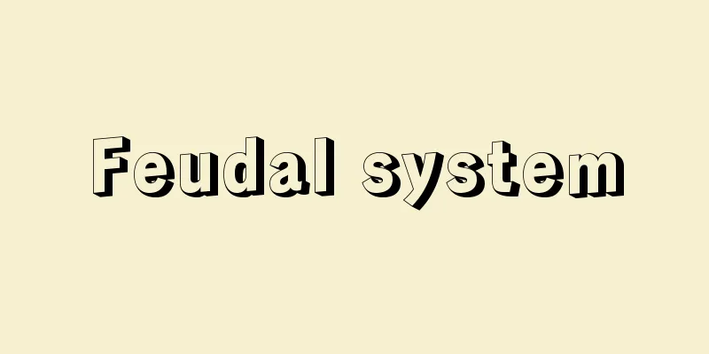 Feudal system