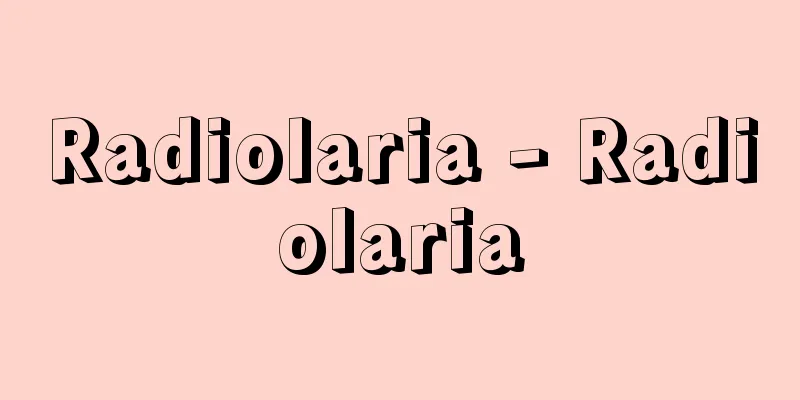Radiolaria - Radiolaria