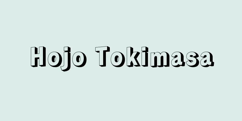 Hojo Tokimasa