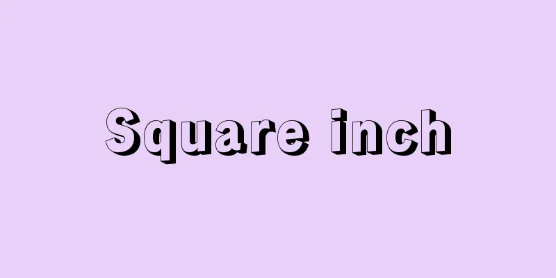 Square inch