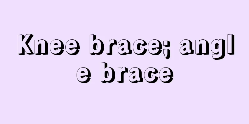 Knee brace; angle brace