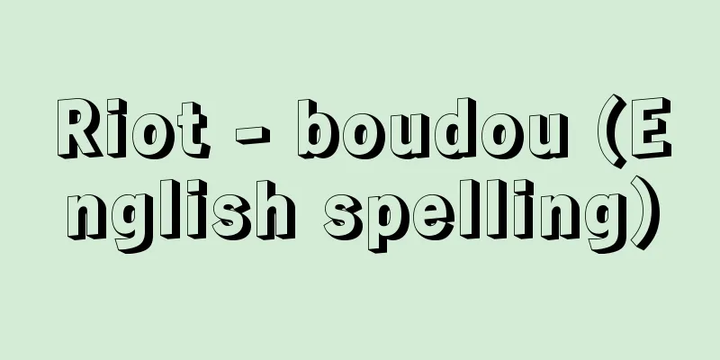 Riot - boudou (English spelling)