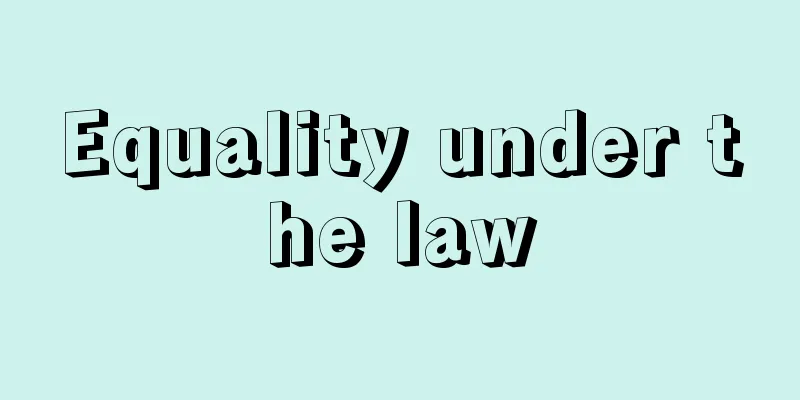 Equality under the law