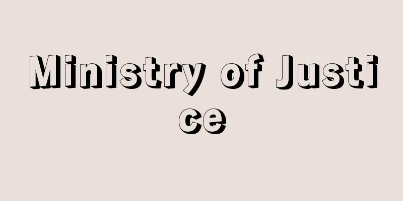 Ministry of Justice