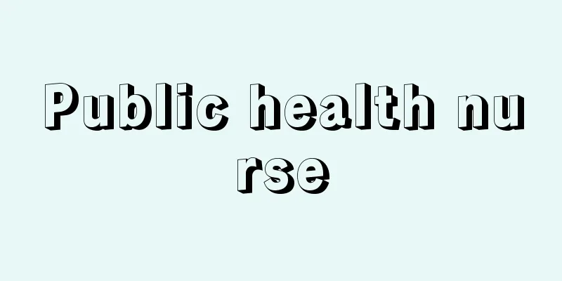 Public health nurse