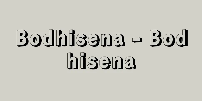 Bodhisena - Bodhisena