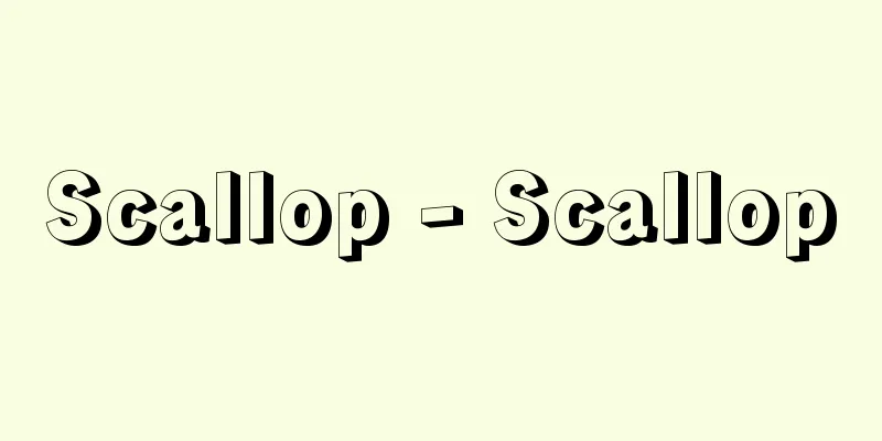Scallop - Scallop