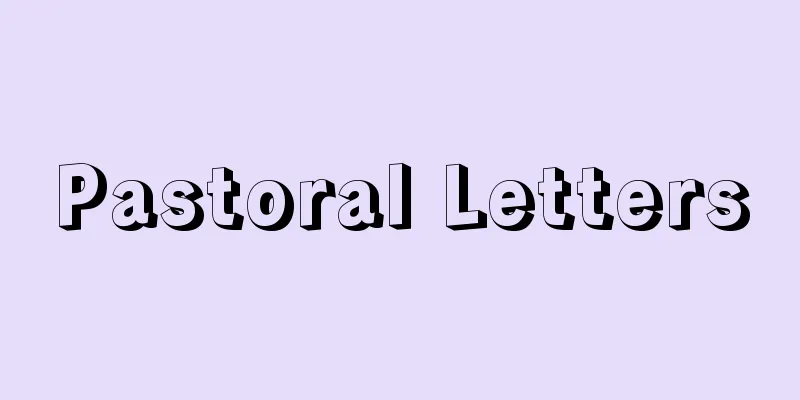Pastoral Letters