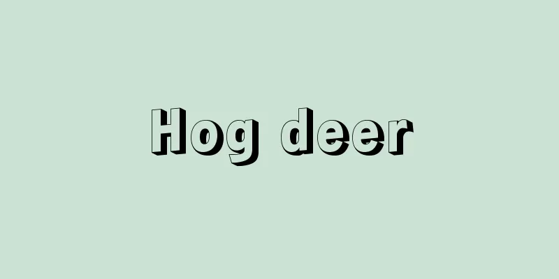Hog deer
