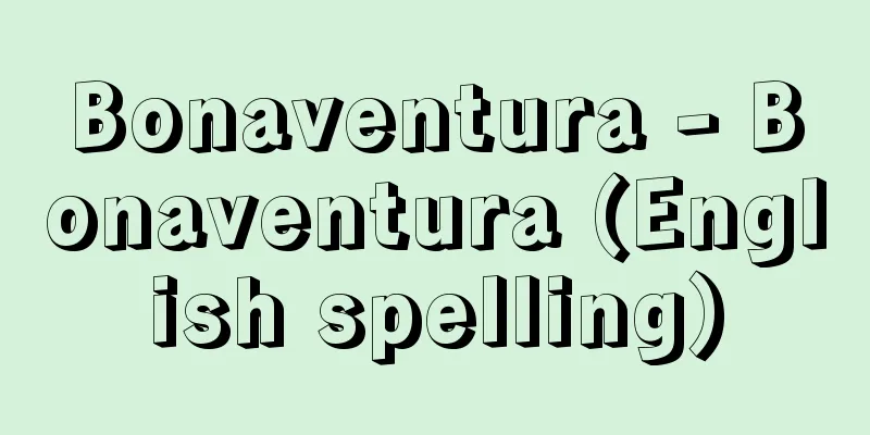Bonaventura - Bonaventura (English spelling)