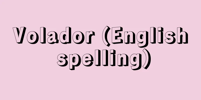 Volador (English spelling)