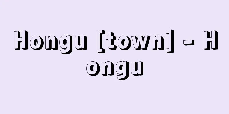 Hongu [town] - Hongu