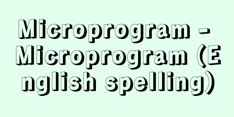 Microprogram - Microprogram (English spelling)