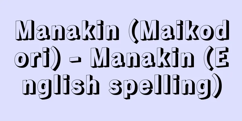 Manakin (Maikodori) - Manakin (English spelling)