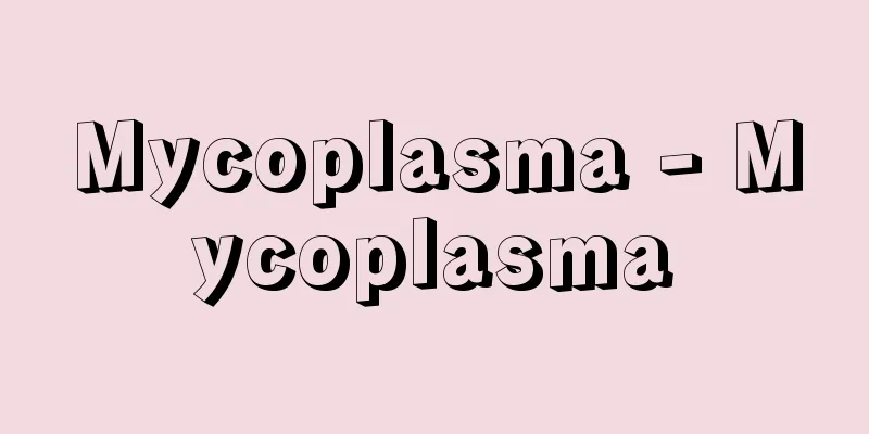 Mycoplasma - Mycoplasma