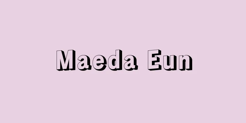 Maeda Eun